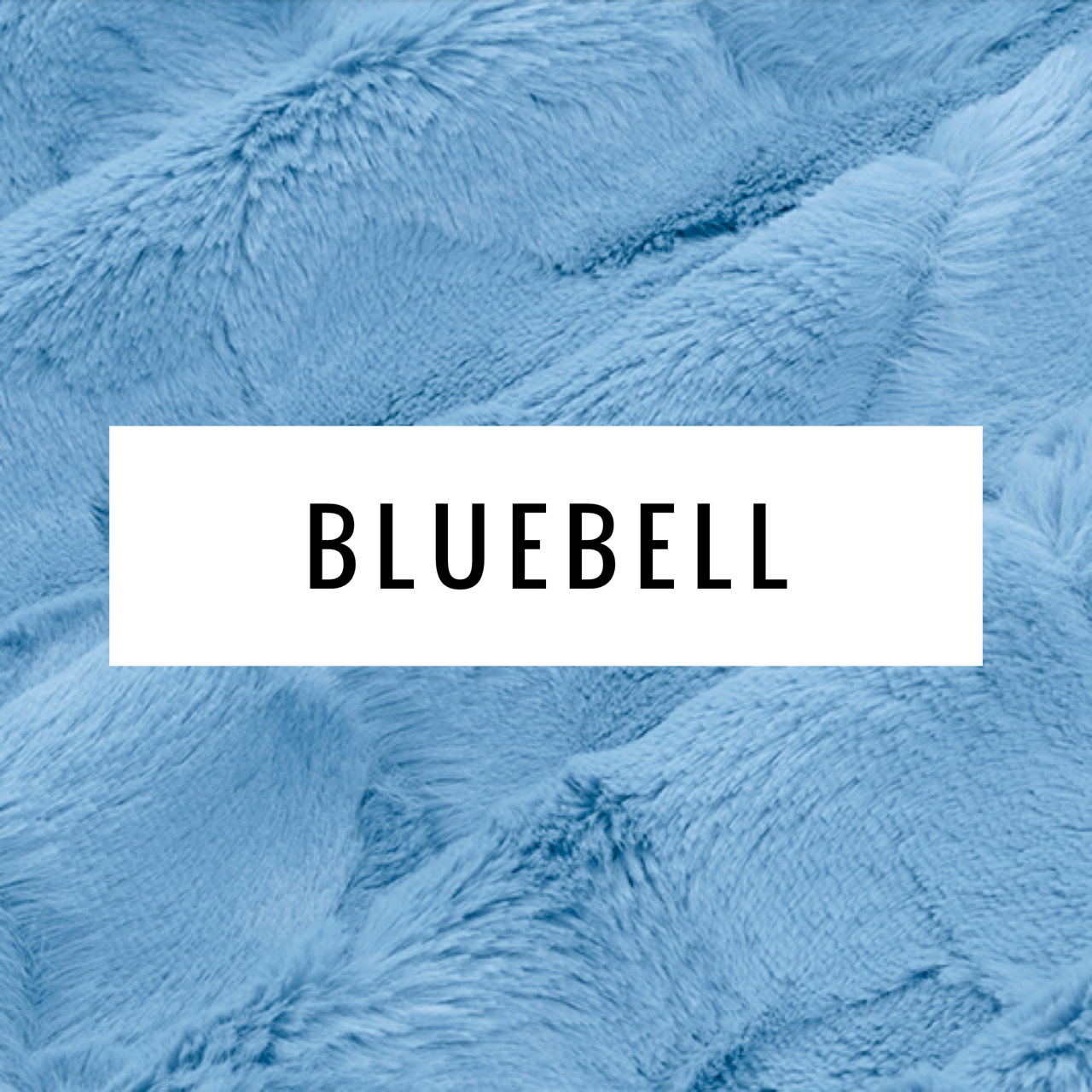 Cactus Minky Blanket