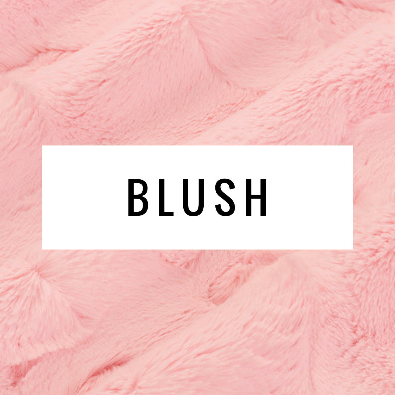 Pink Roses Minky Blanket