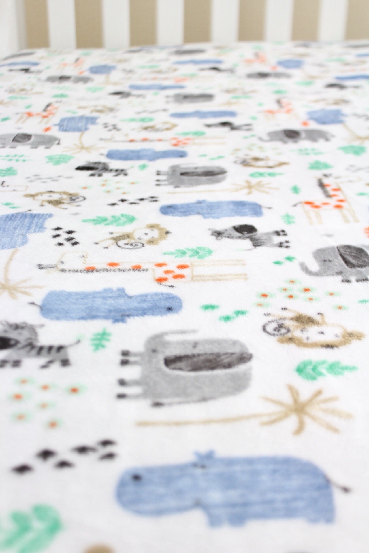 Scribble Safari Animals Minky