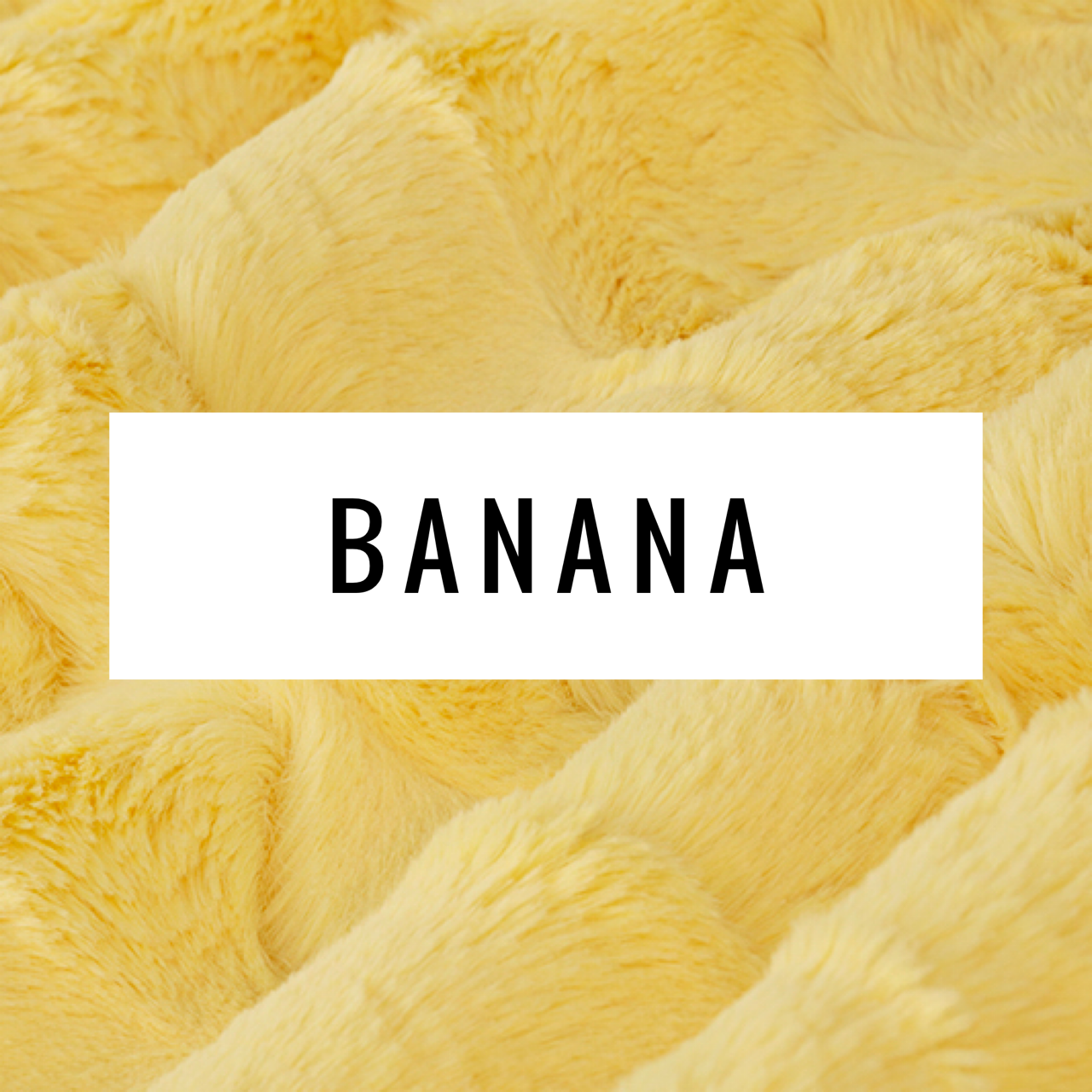 Farm Minky Blanket