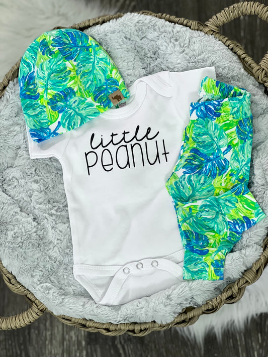 Palm Leaves